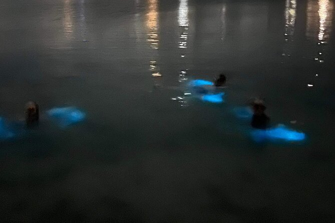 Grand Cayman Bioluminescent Bay Tour - Boat size, equipment, and comfort