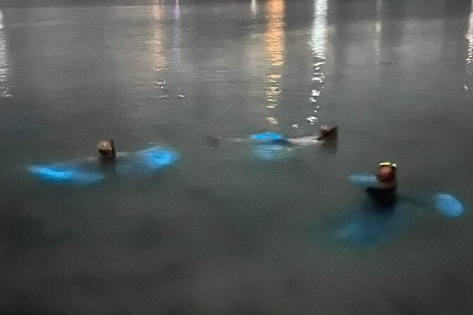 Grand Cayman Bioluminescent Bay Tour - Moon phases and the best night to go