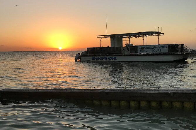Grand Cayman Bioluminescent Bay Tour - Assessing the $134.10 price
