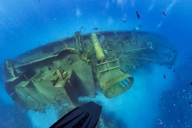 Grand Cayman Kittiwake and Reef Sail - Who will enjoy this trip most?