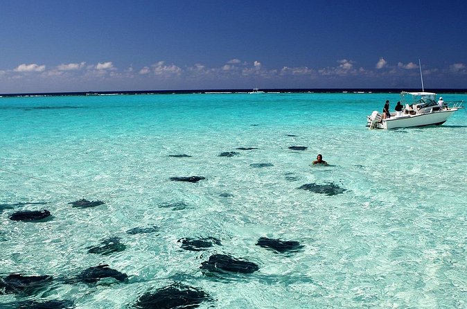 Grand Cayman Stingray City and Reef Snorkeling Combo Tour - Is $89 Good Value for a 2.5-Hour Boat Trip?