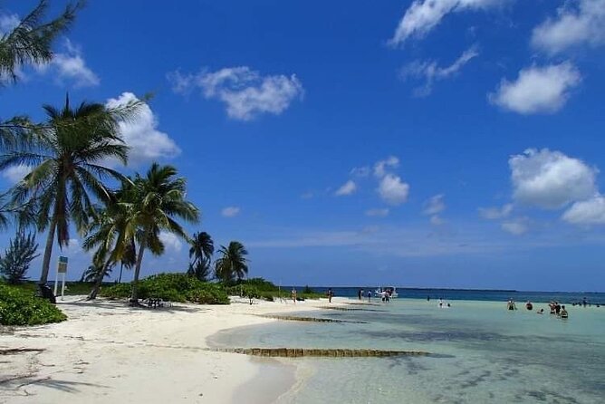 Half Day Private Boat Charter in Grand Cayman - Optional beach restaurants, bars, mangroves, and lunch