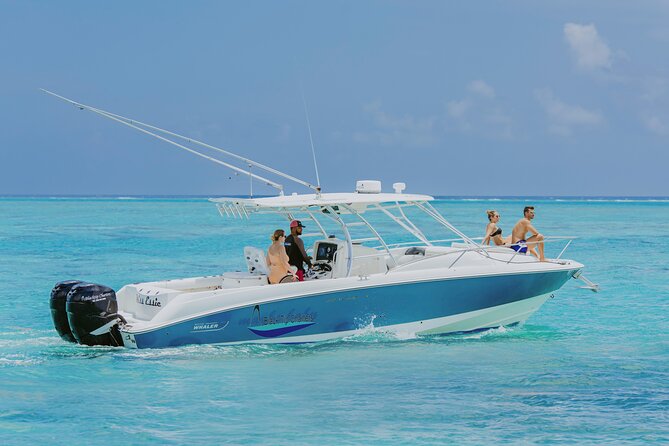 Half-Day Private Stingray City Charter - Grand Cayman - BTC - Key points to know before booking