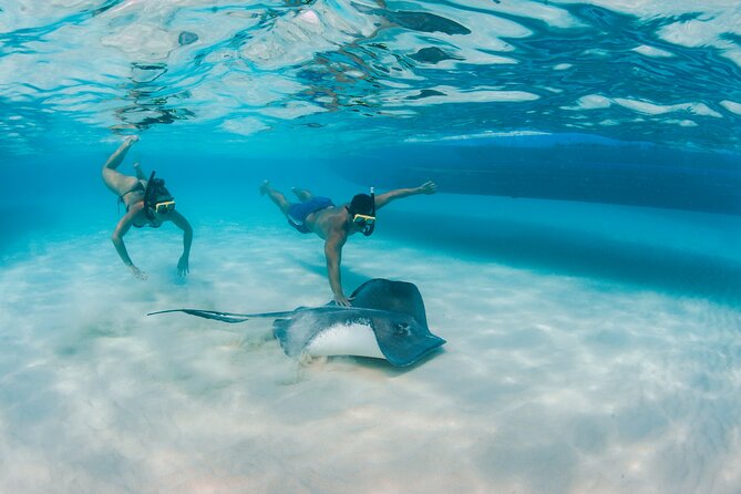 Half-Day Private Stingray City Charter - Grand Cayman - BTC - The Barrier Reef and the story beneath the waves