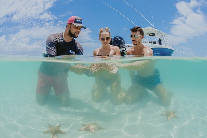 Half-Day Private Stingray City Charter - Grand Cayman - BTC - Who will enjoy this charter most