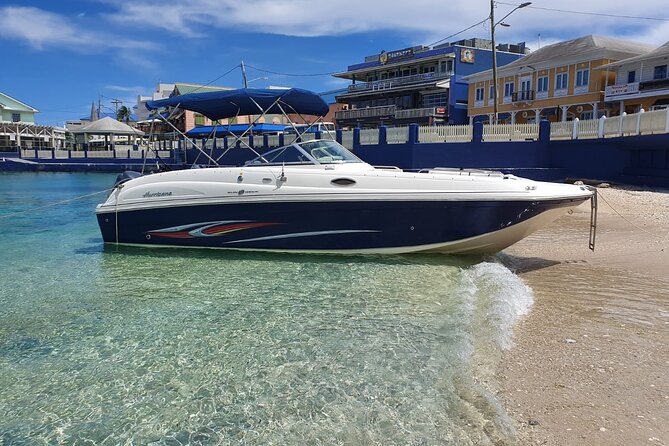 Half-Day Private Stingray City Charter in Cayman Islands - Key Things to Know Before You Go