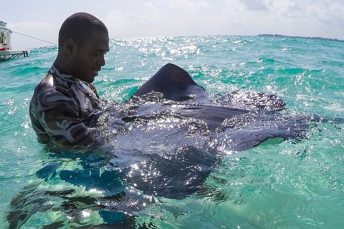 Half-Day Private Stingray City Charter in Cayman Islands - Why a Private Charter Changes the Stingray City Experience