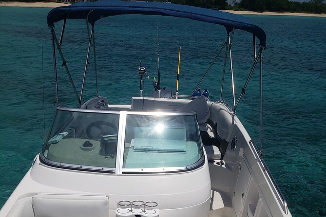 Half-Day Private Stingray City Charter in Cayman Islands - Stingray City: The Main Event in 45 Minutes