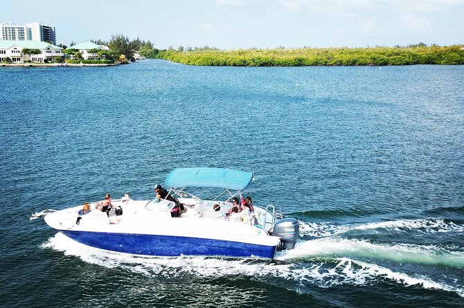 Half-Day Private Stingray City Charter in Cayman Islands - Comfort, Crew Style, and Group Size