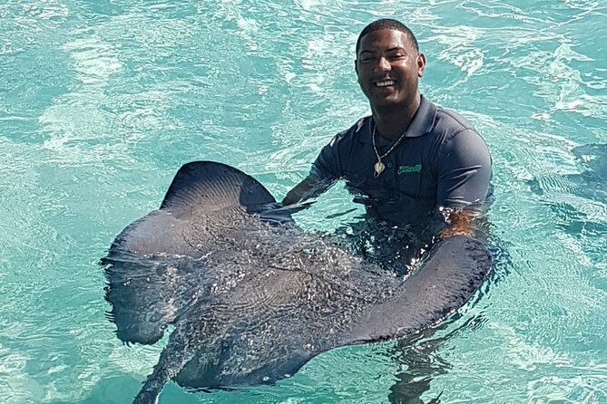 Half-Day Private Stingray City Charter in Cayman Islands - Leaving From the Cayman Islands Yacht Club