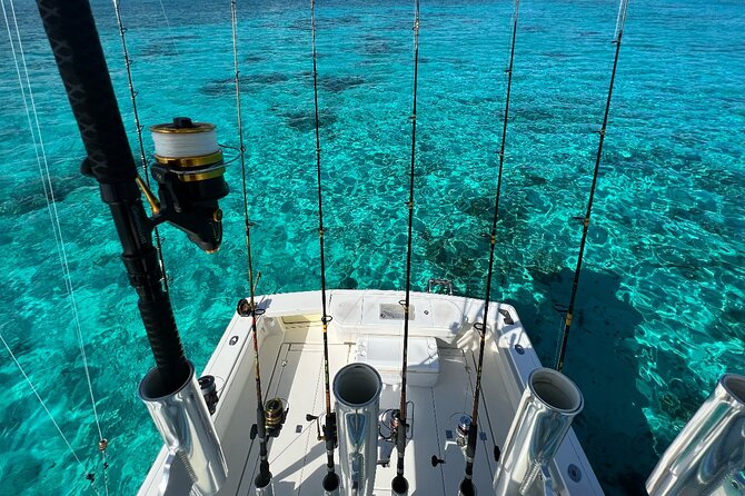 Luxury Private Fishing Charters - FULL DAY CHARTER - A realistic eight-hour day on the water