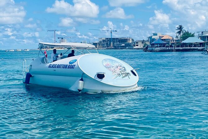 Oculus Glass Bottom Boat Tour - Five useful things to know before you book