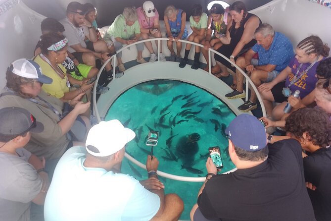 Oculus Glass Bottom Boat Tour - What you might see below the glass