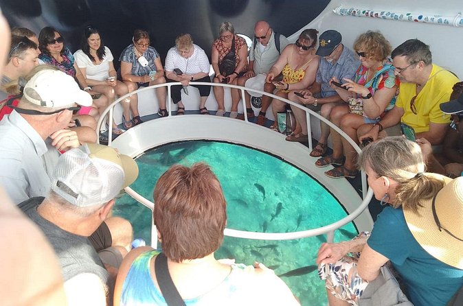 Oculus Glass Bottom Boat Tour - The practical value of the $59.95 price