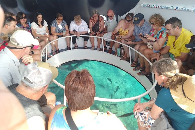 Oculus Glass Bottom Boat Tour - Meeting at South Terminal and timing your day