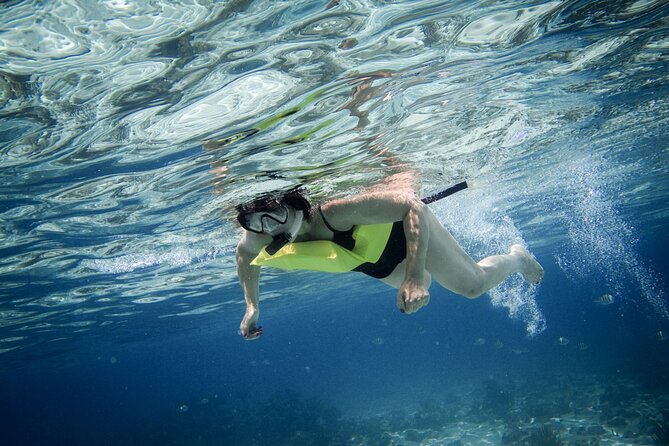 Private 4 hour Catamaran Tour - What the crew adds to the experience
