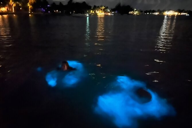 Private: Bioluminescence Tour - Five things to know before you book