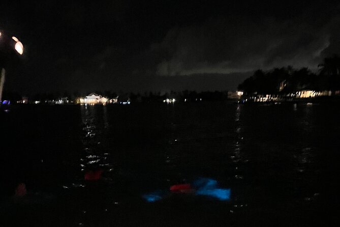 Private: Bioluminescence Tour - The captains are a major part of the value