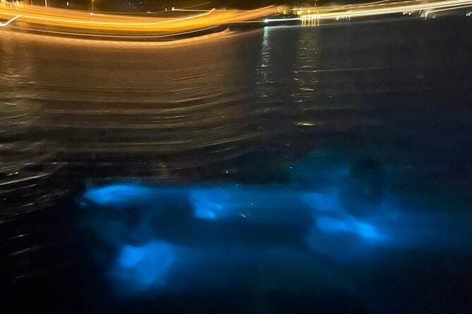 Private: Bioluminescence Tour - Swimming at night requires a little preparation