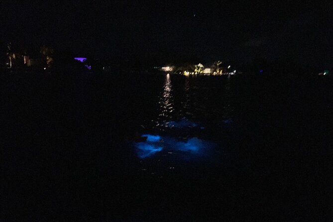 Private: Bioluminescence Tour - Who will enjoy this most