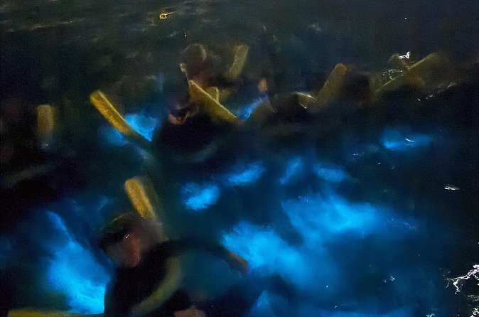 Private Bioluminescence Tour in Grand Cayman - Swimming and snorkeling among the glowing plankton