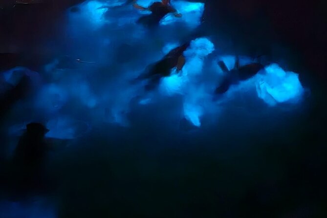 Private Bioluminescence Tour in Grand Cayman - What the excellent feedback tells you