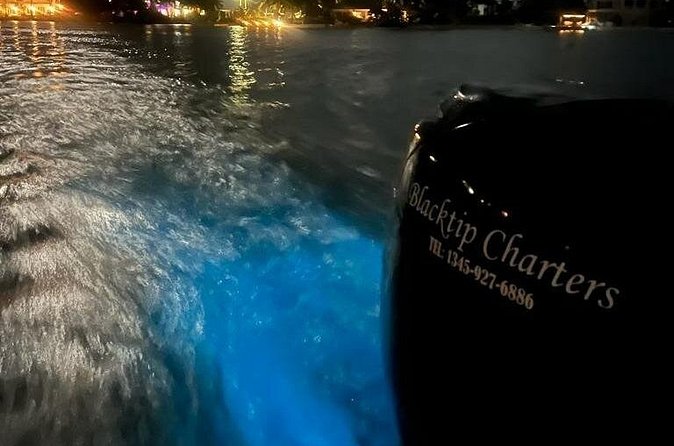 Private Bioluminescence Tour in Grand Cayman - Timing, weather, and cancellation details