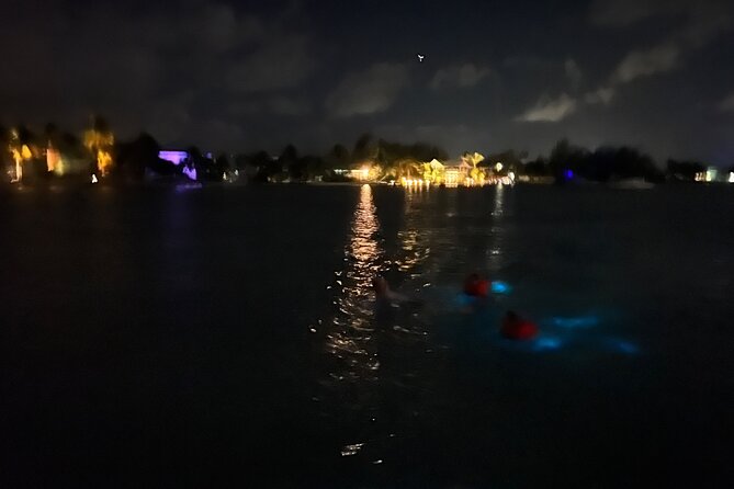 Private: Bioluminescence Tour - Moonlight matters more than most people expect