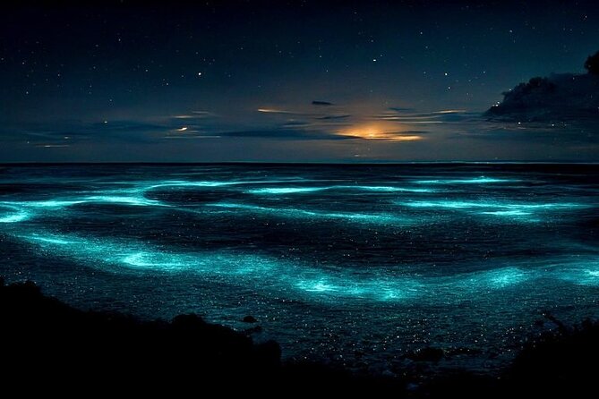 Private Bioluminescent Bay Tour - Key points to know before booking