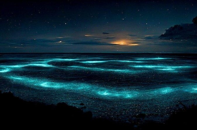 Private Bioluminescent Bay Tour - What the photos may not tell you