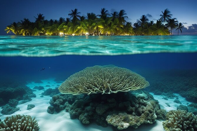 Private Bioluminescent Bay Tour - Meeting the boat at Cayman Islands Yacht Club