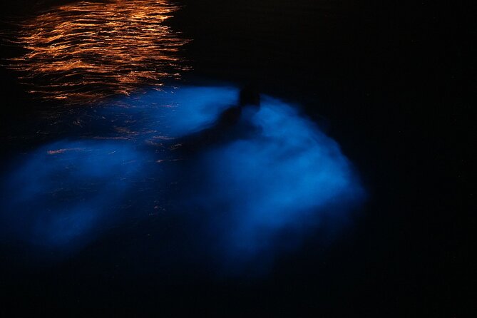 Private Boat Charter Experience in Bio Bay Cayman Island - Key points about the Bio Bay charter