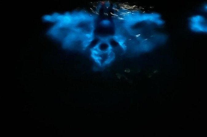 Private Boat Charter Experience in Bio Bay Cayman Island - Swimming in glowing water