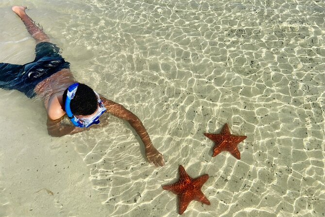 Private Boat Charter in Cayman Islands - Coral Gardens and Rum Point for the longest swim