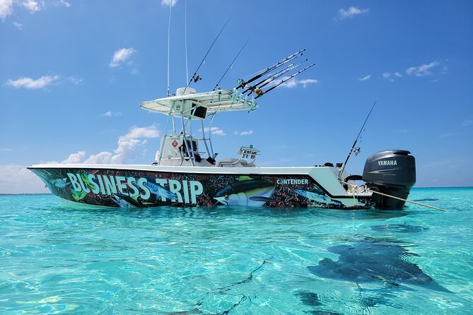Private Boat Charter in Cayman Islands - Why Stingray City deserves the first stop