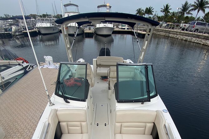Private boat charter in Grand Cayman - A mangrove cruise for a change of pace
