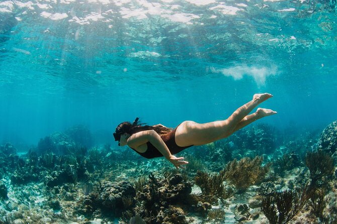 Private Boat Charter Snorkeling Stingray City or Bio Bay - Key points to know before you book
