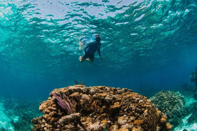 Private Boat Charter Snorkeling Stingray City or Bio Bay - What Captain Mike adds to the day