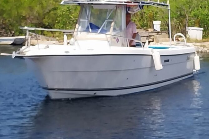 Private Boat Tour in Cayman Islands - Is $850 good value for your group?