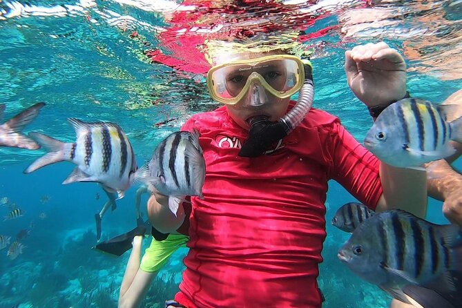 Private Charter 28ft Grady White. Stingrays, Snorkeling, Starfish - Why the six-hour option may be worth it