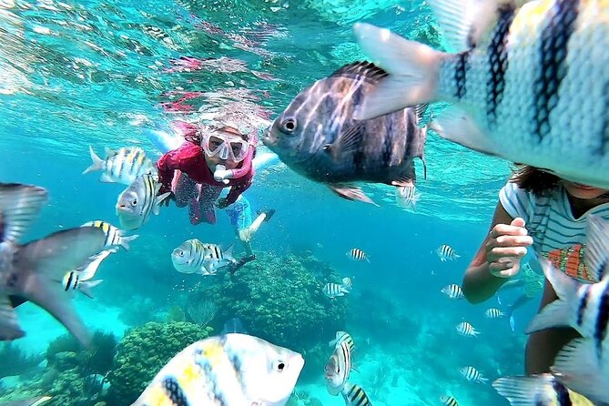 Private Charter 28ft Grady White. Stingrays, Snorkeling, Starfish - Stingray City and the Southern Stingrays
