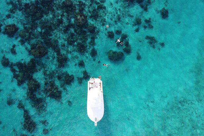 Private Charter 34ft Express Cruiser Stingay City Reef Snorkeling - Starfish Point and the Red Cushion Sea Stars