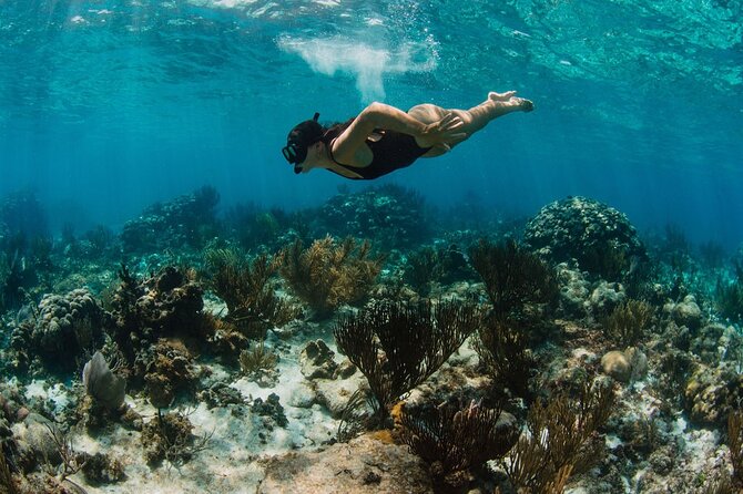 Private Charter Reef fishing, Stingray City, Snorkel, Mangroves - Snorkeling and mangroves away from the main crowds