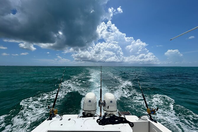 Private Charter Reef fishing, Stingray City, Snorkel, Mangroves - Practical details for a smoother day