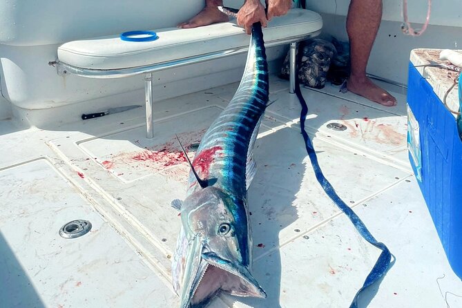 Private Deep Sea Fishing Experience in Grand Cayman - Leaving Promenada Camana Bay Marina at 6:00 AM