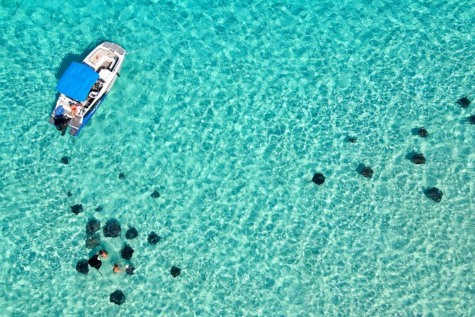 Private, Guided Boat Charters in The Cayman Islands - A private Cayman charter with room to make your own plan