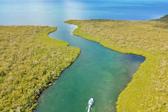 Private, Guided Boat Charters in The Cayman Islands - Starfish Point offers a gentler second stop
