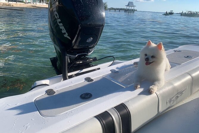 Private Half Day Boat Tour, 3 locations of your choice - What the captain adds to the day