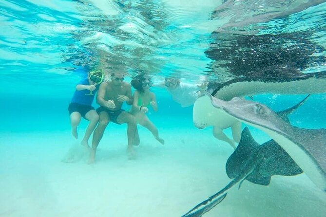 Private Half Day Boat Tour, 3 locations of your choice - Why the $800 group price may be worth it