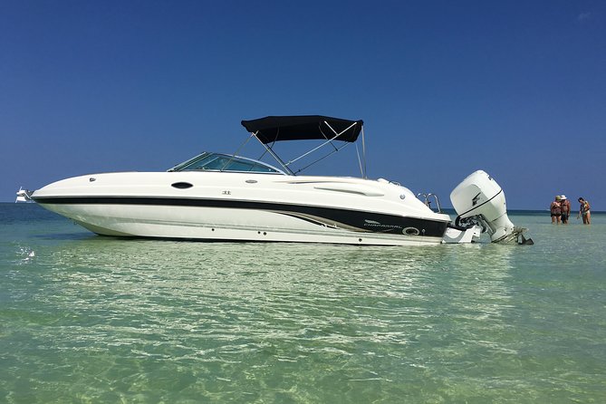 Private Half Day Stingray City, Snorkeling and Starfish Beach Tour - Key Things to Know Before You Book